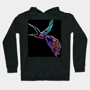 Colorful Glow Bird Hoodie